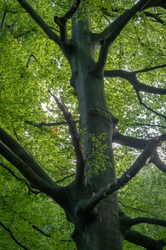 Frederic Demeuse WALD Photography-5